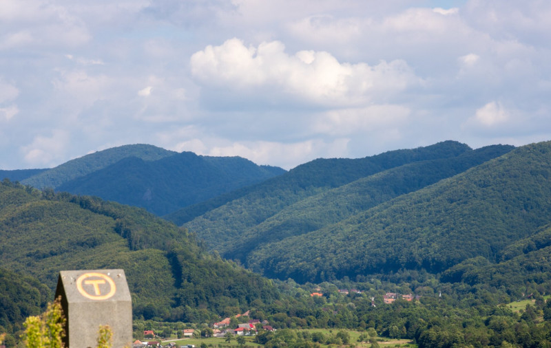 AdobeStock_454992781
