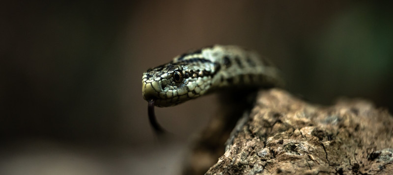 AdobeStock_474086111