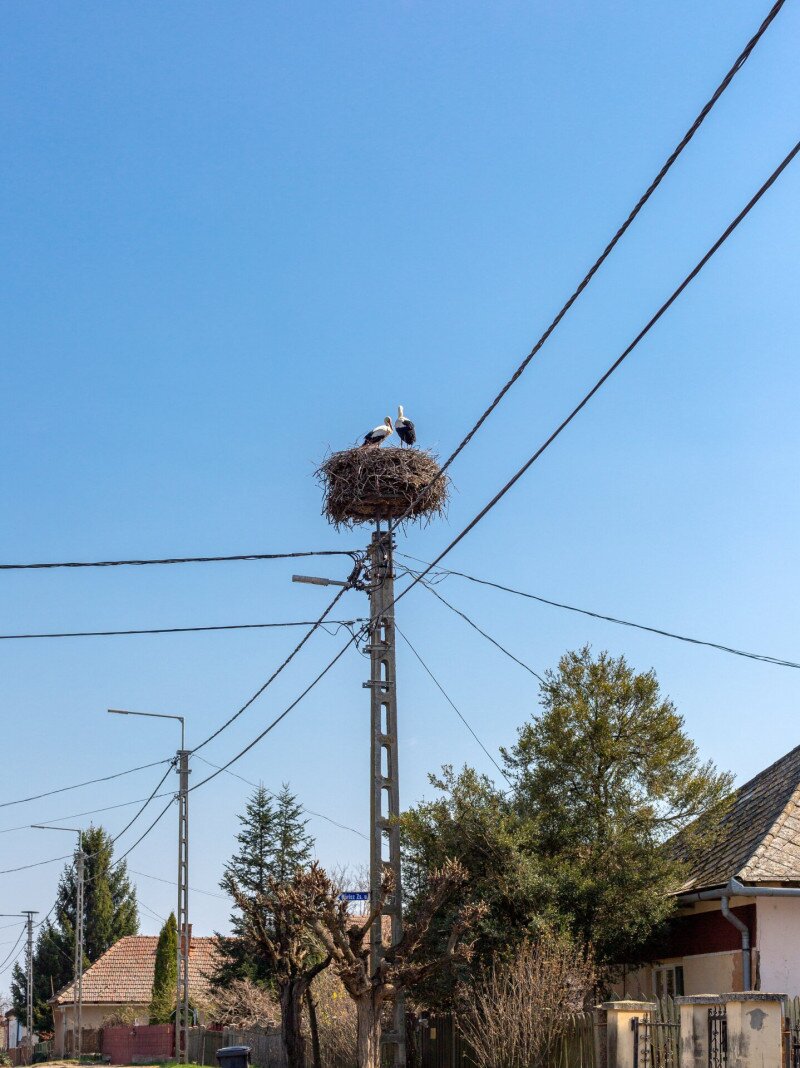 AdobeStock_483821825