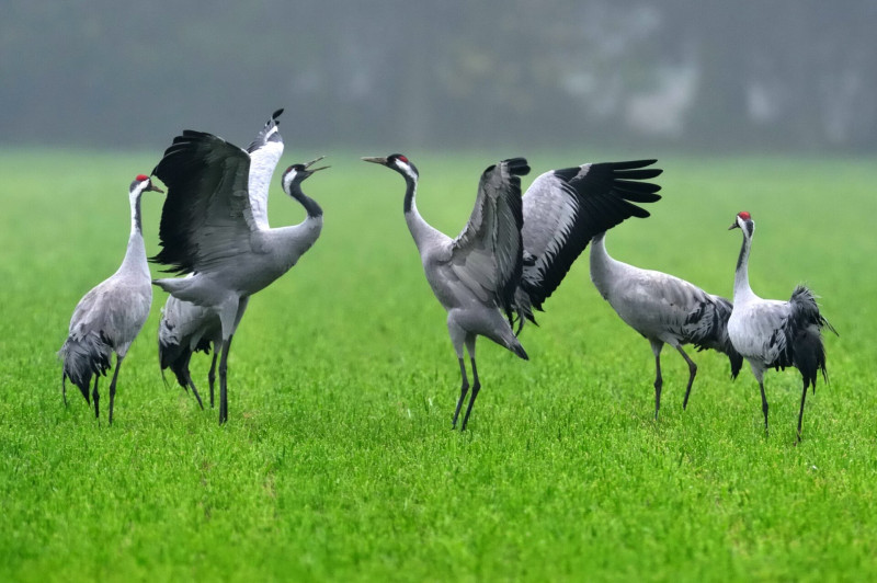 AdobeStock_485519704