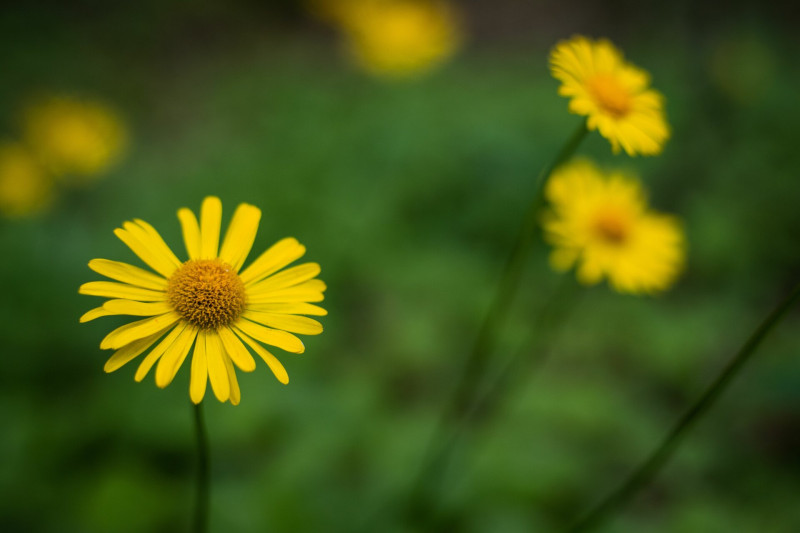 AdobeStock_589851708