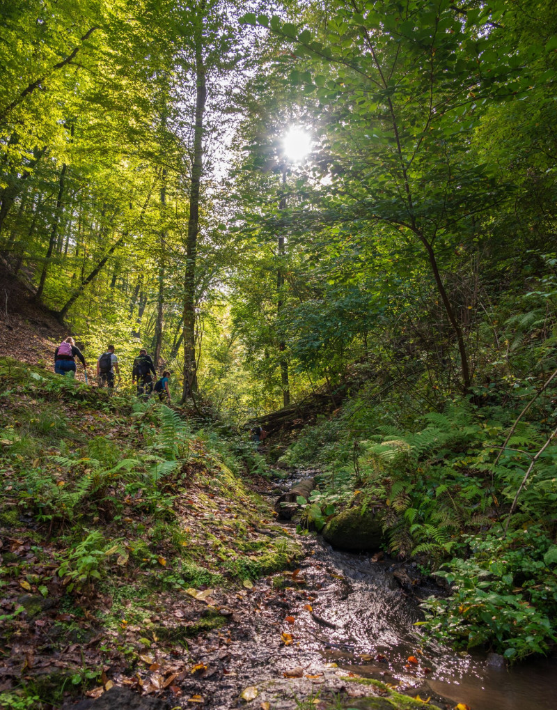 AdobeStock_612475176