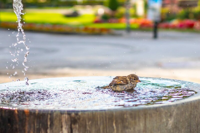 AdobeStock_626182235