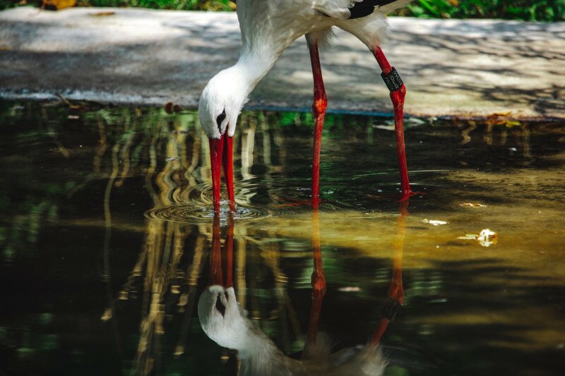 AdobeStock_645246054