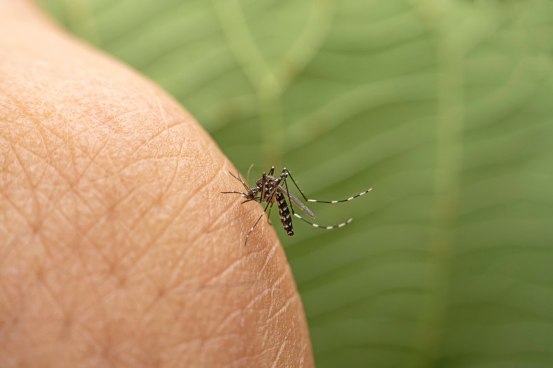 AdobeStock_694719945