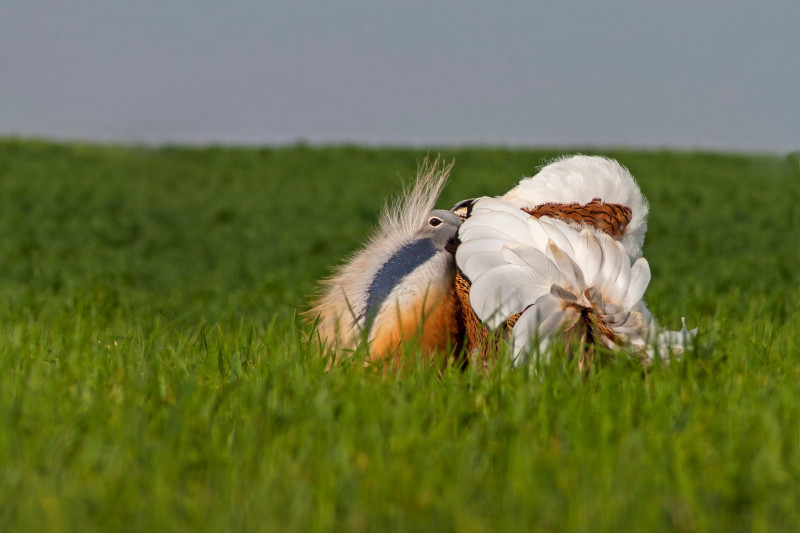 AdobeStock_82733711