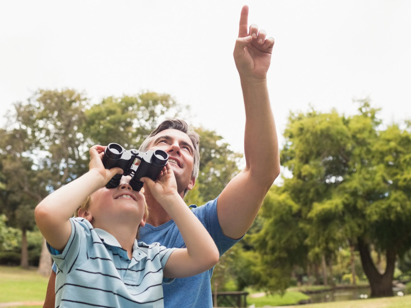 AdobeStock_83590744