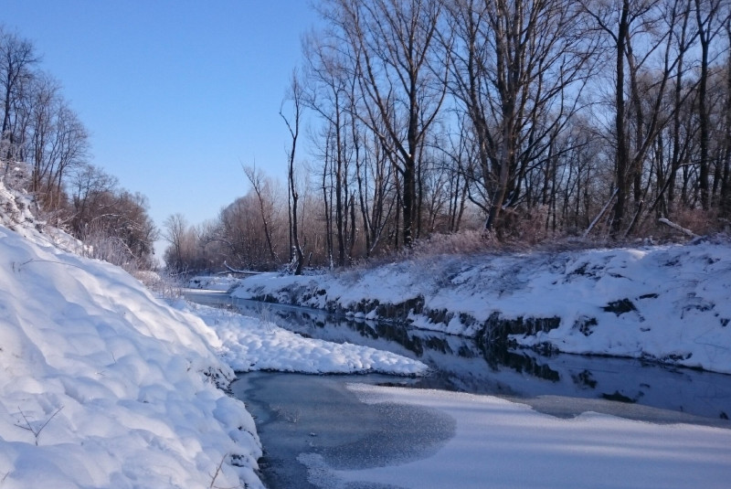A Dráva ártere télen