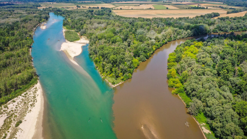 A Dráva és a Mura összefolyása