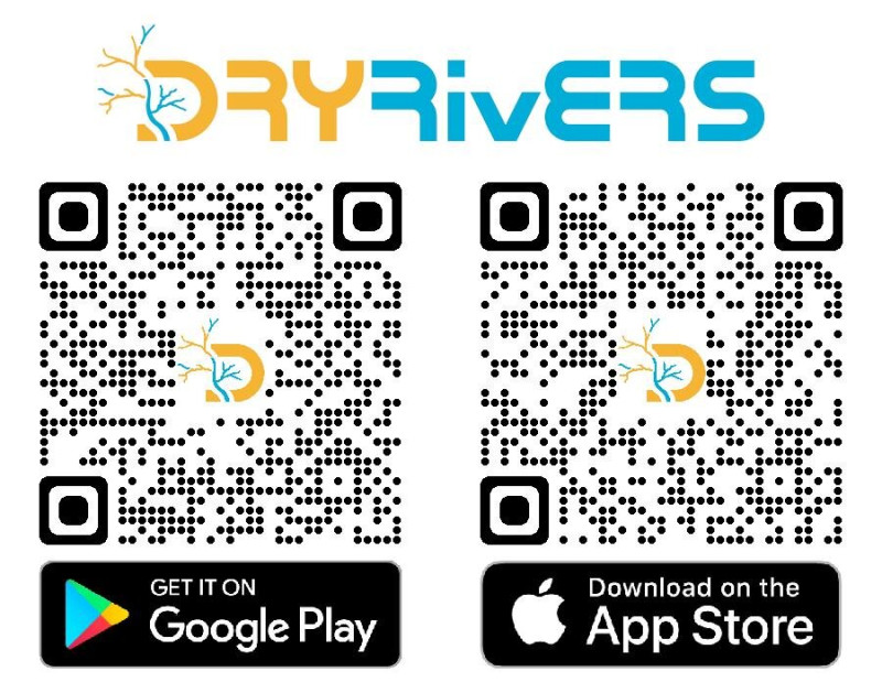 A DRYRivERS alkalmazás letöltő QR-kódjai
