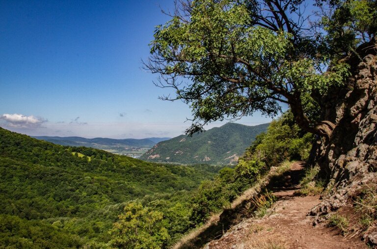 Új területekkel gyarapodott a Pilisi Bioszféra Rezervátum
