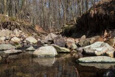 A faúsztatás emlékei a Börzsönyben