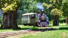 A Gemenci-erdő ősszel is vár