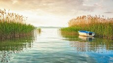 Aggasztóan melegszik a Balaton, és ez drasztikus változásokat hozhat