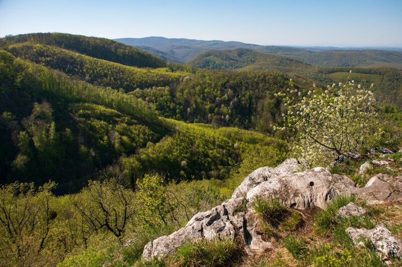 A Gulicska sziklája remek kilátópont: panoráma az Északi-Bükktől a Tátráig
