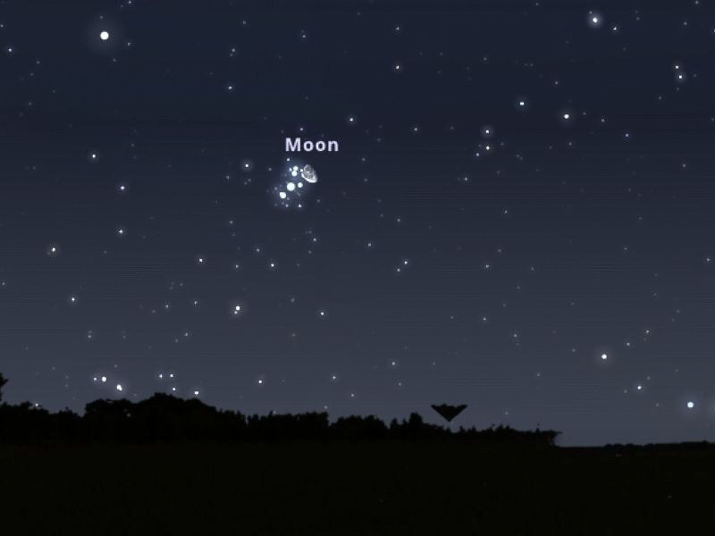 A Hold és a Fiastyúk párosát