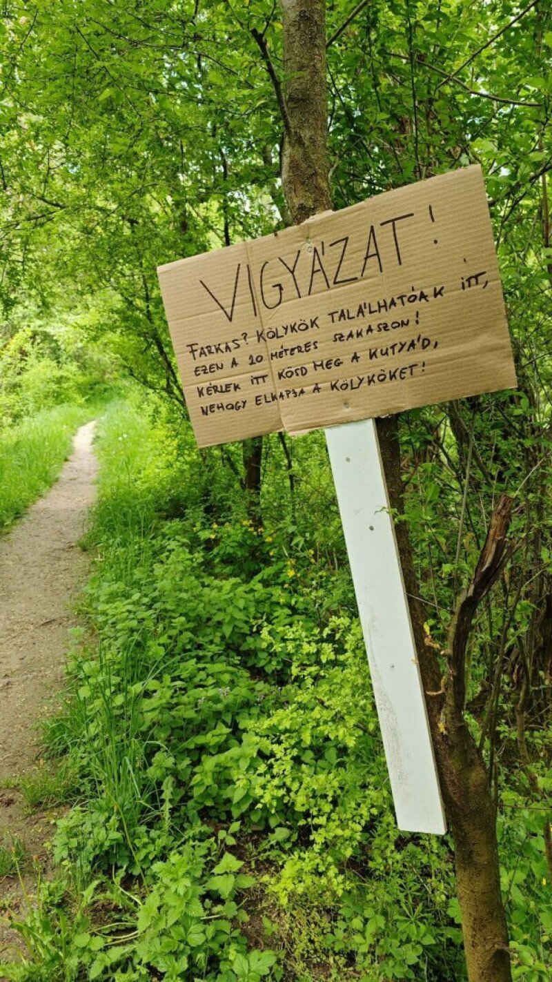 a-kolykok-vedelme-erdekeben-valaki-kihelyett-egy-tabl-d0c19dd7-3149212