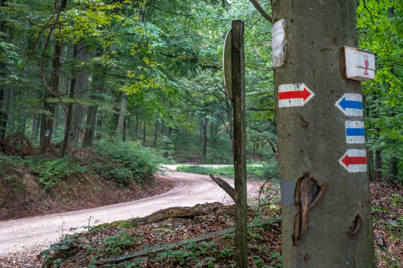 A Közép-dunántúli Pirostúra