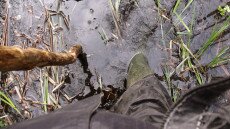 A lápi ember nyomában, avagy gumicsizmás túra Ócsán