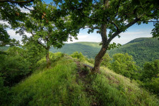 A legjobb őszi kirándulások családoknak és természetben lazítóknak