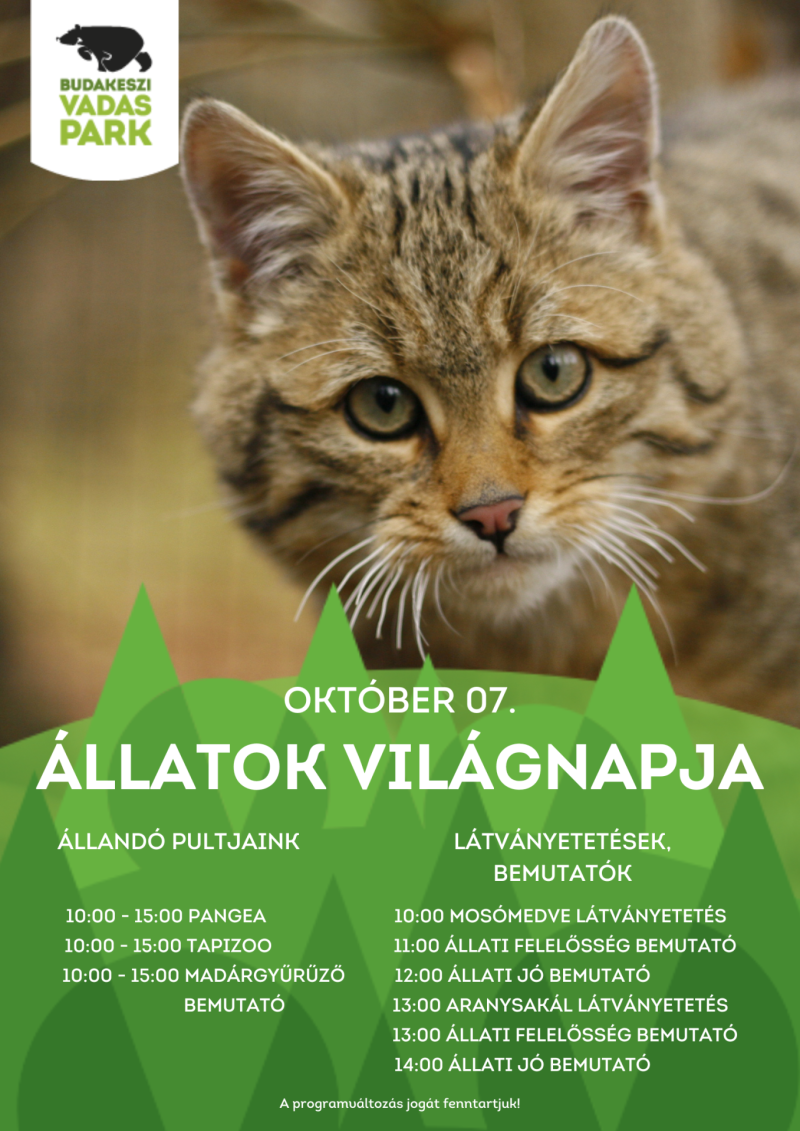 Állatok-világnapja