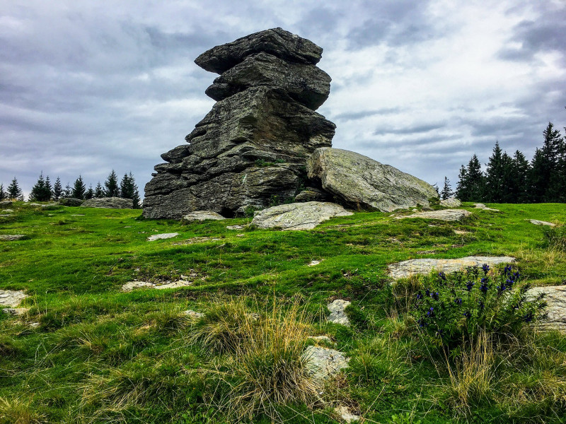 alpannonia02
