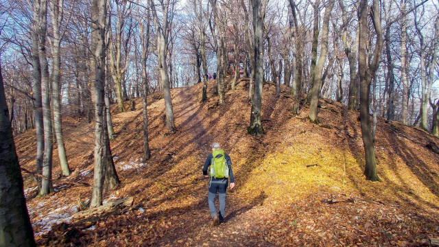 A Mecsek gyöngyszemének nevénél csak a kilátása szebb: a Zengő