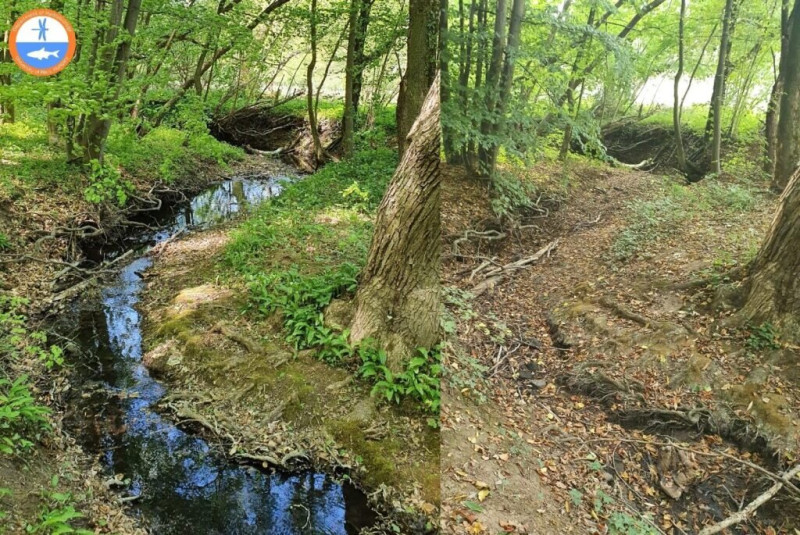 ​A Mecsekben, a Bükkösdi-víz vízgyűjtőjén található Petőczi-árok egyik szakasza áramló és kiszáradt  állapotban