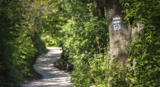Amit a hazai turistajelzésekről tudni érdemes