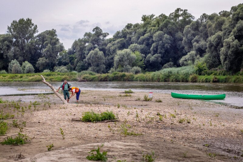 A Mura folyó egyik zátonyán