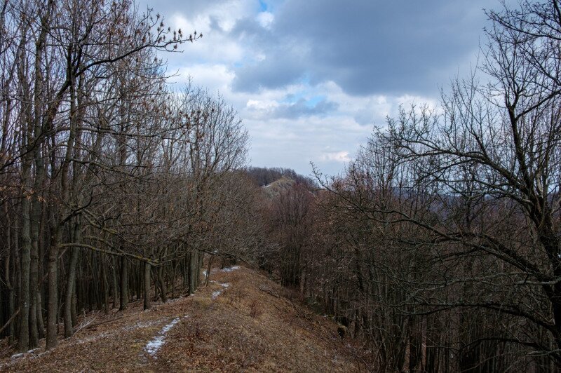  A Nagy-Mána-bérc ösvénye