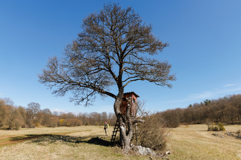 A Pelsőci-fennsík