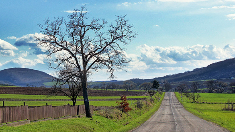 apr-13-14_047-3kk.jpg