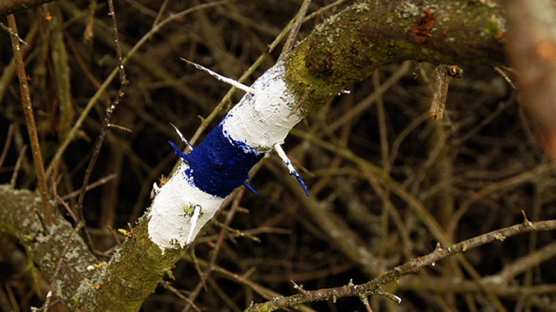 apr-4-5_1132kk.jpg