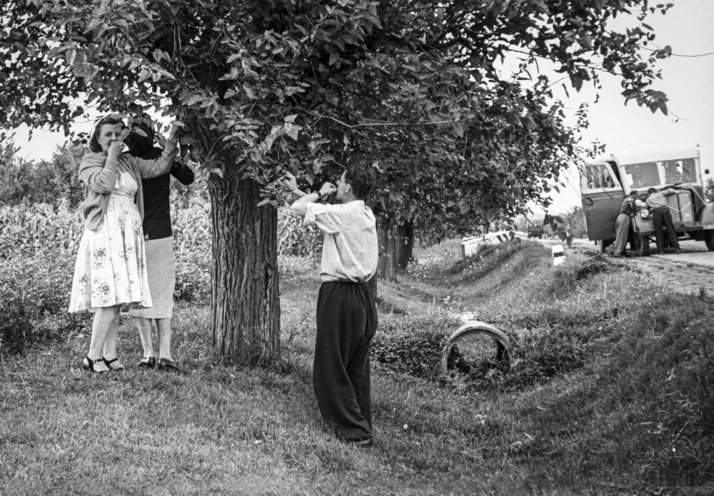 Archive 1955-ben eszegetnek az ut szeli eperfarol FOTO FORTEPAN adomanyozo Palfi Balazs