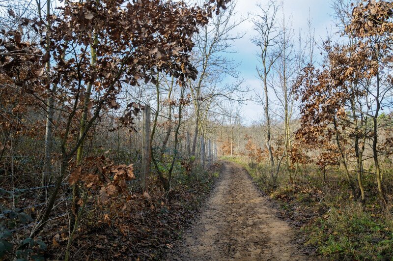 ASCII��� �����������������������������������