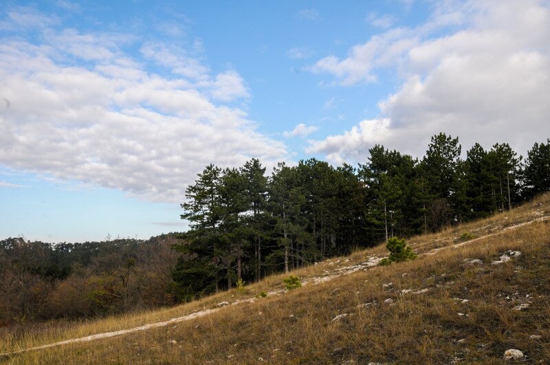 ASCII��� �����������������������������������