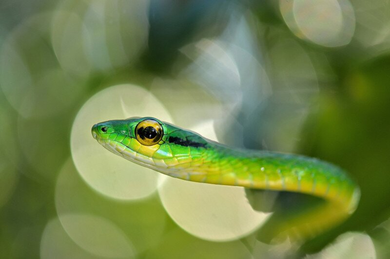 ASCII��� �����������������������������������