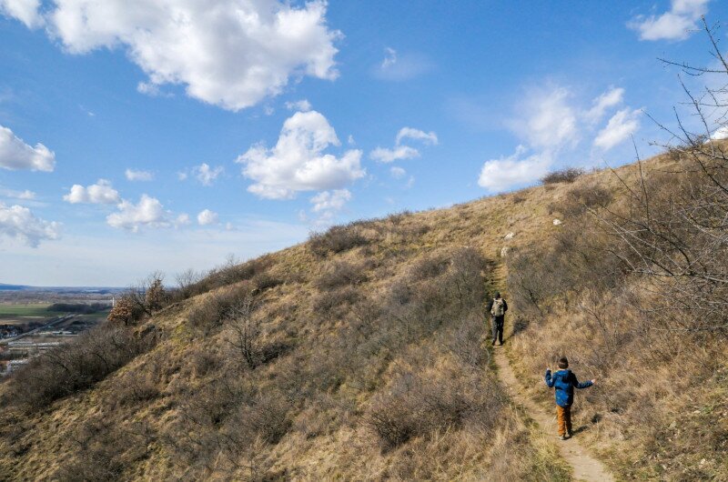 ASCII��� �����������������������������������