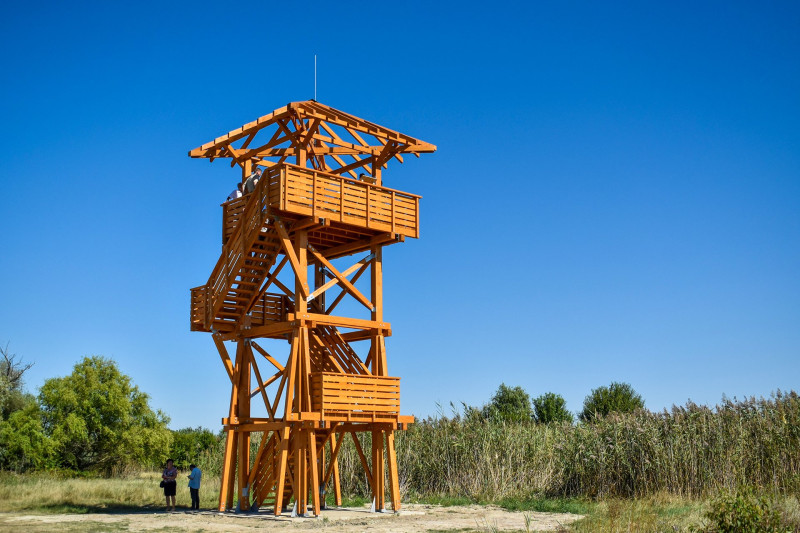 ASCII���������������������������������������