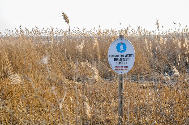 ASCII��� �����������������������������������