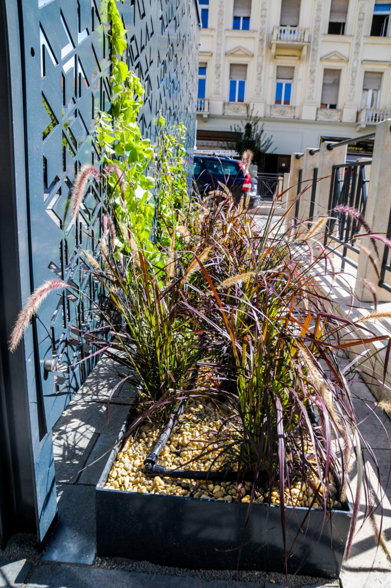 ASCII��� �����������������������������������