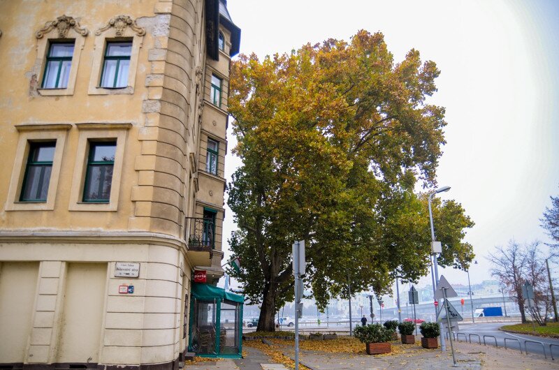 ASCII��� �����������������������������������