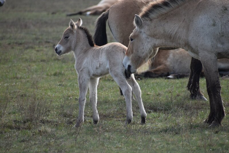 ASCII���������������������������������������