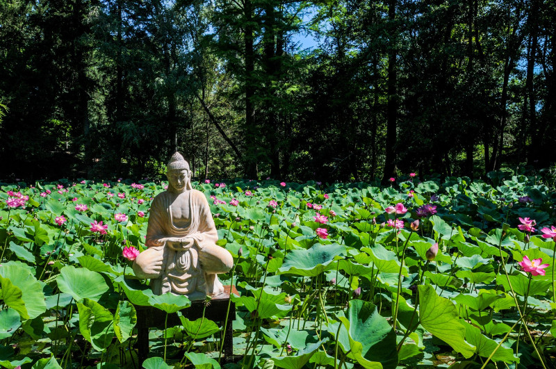 ASCII��� �����������������������������������