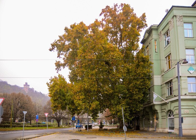 ASCII��� �����������������������������������