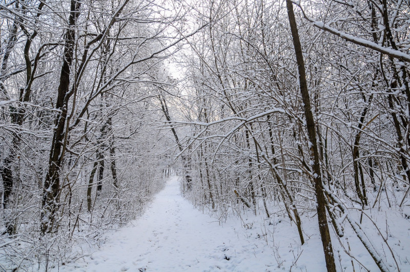 ASCII��� �����������������������������������