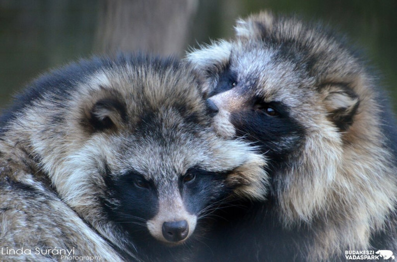 ASCII��� �����������������������������������