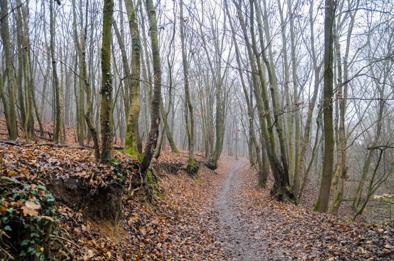 ASCII��� �����������������������������������