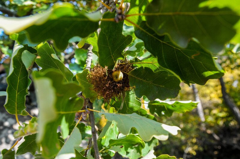 ASCII��� �����������������������������������